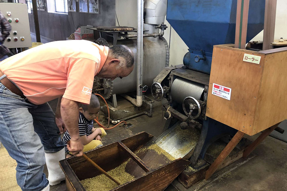 菜種をつぶす工程