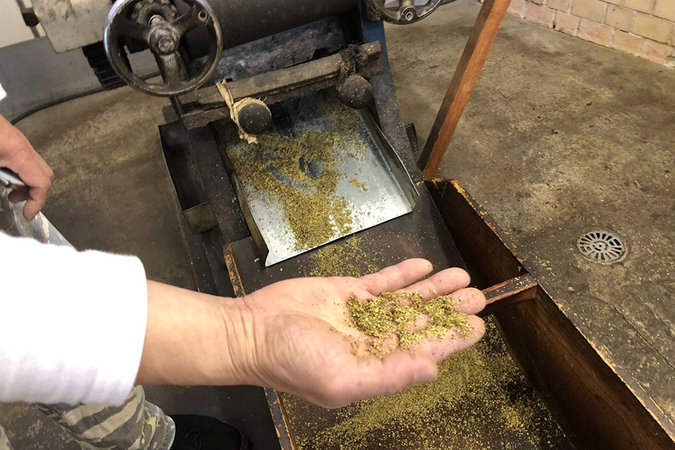 すり潰した菜種