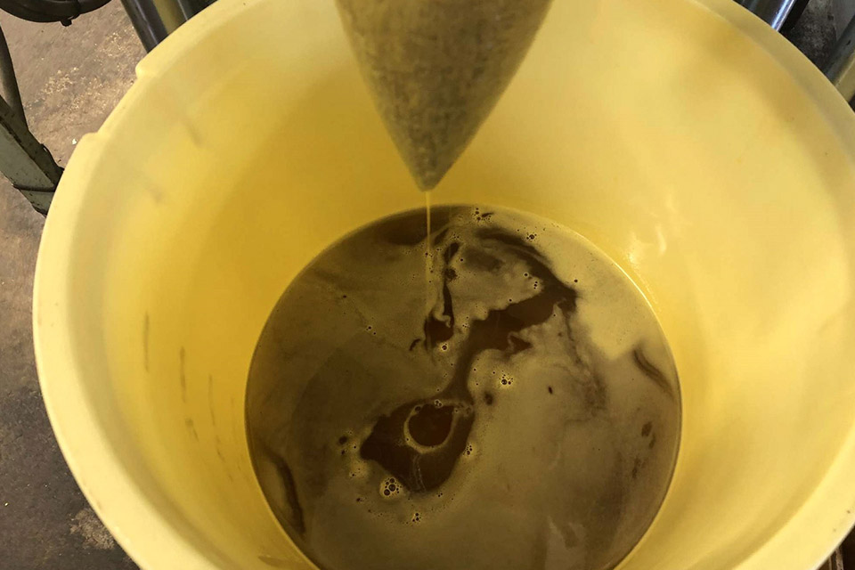 搾られた菜種油