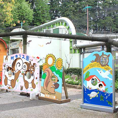 町田リス園