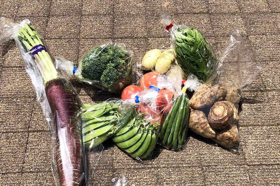 『市役所まち☆ベジ市』