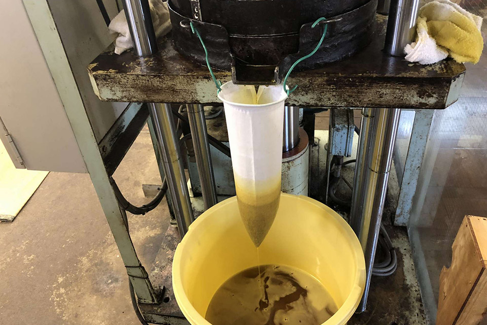 圧搾機で油を絞る