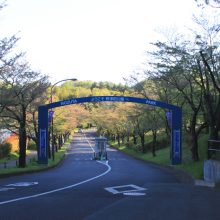 野津田公園_写真2