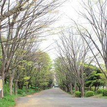 鶴間公園_写真1