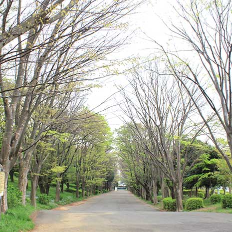 鶴間公園_写真1