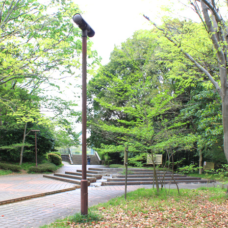 芹が谷公園_写真2