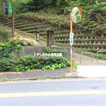 かしの木山自然公園_写真1