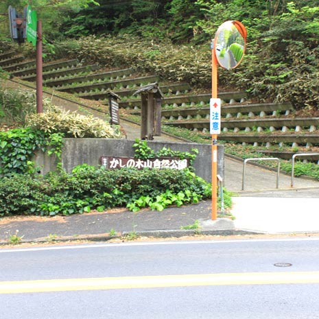 かしの木山自然公園_写真1