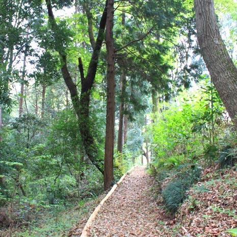 かしの木山自然公園_写真2