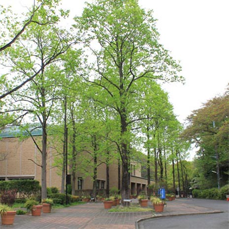 町田市立国際美術館_写真2