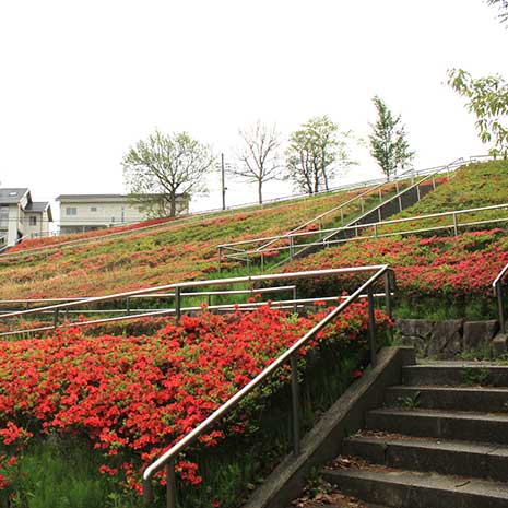 沢谷戸自然公園_写真2