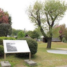 本町田遺跡公園_写真1