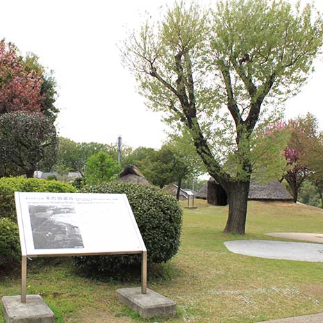 本町田遺跡公園_写真1
