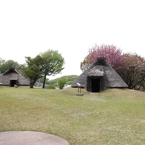 本町田遺跡公園_写真2