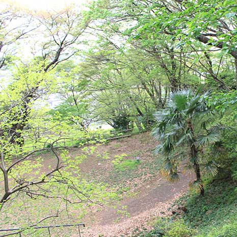 日向山公園_写真2