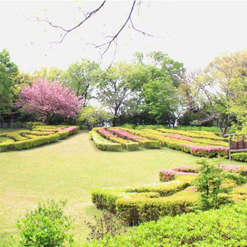 町田えびね苑_写真1