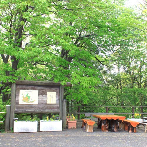 町田えびね苑_写真2