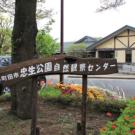 忠生公園_写真1