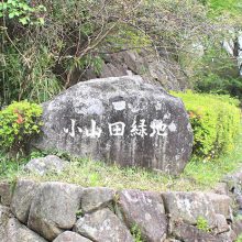 小山田緑地_写真1