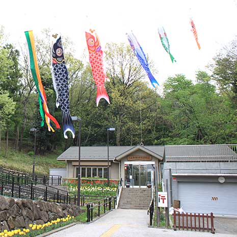 小山田緑地_写真2