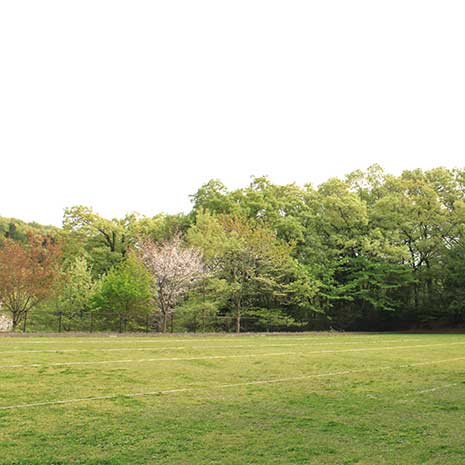 小山内裏公園_写真2