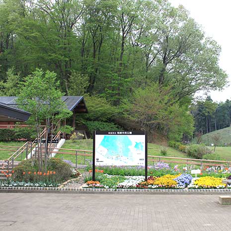 相原中央公園_写真1