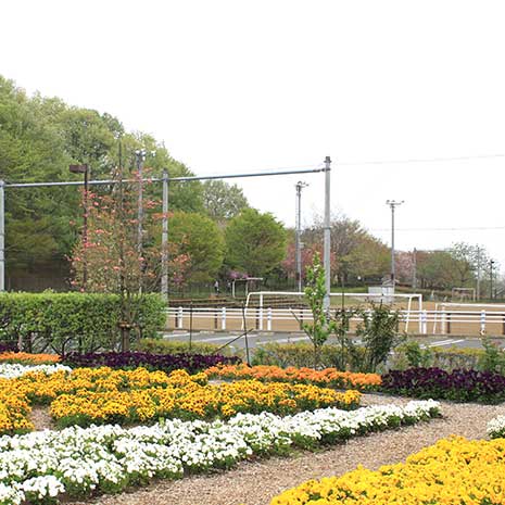 相原中央公園_写真2