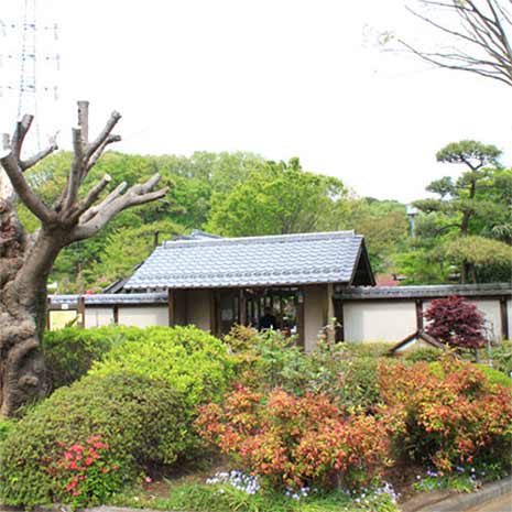 町田市立民権の森公園_写真2