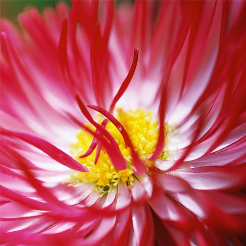 自然写真ギャラリー_写真1