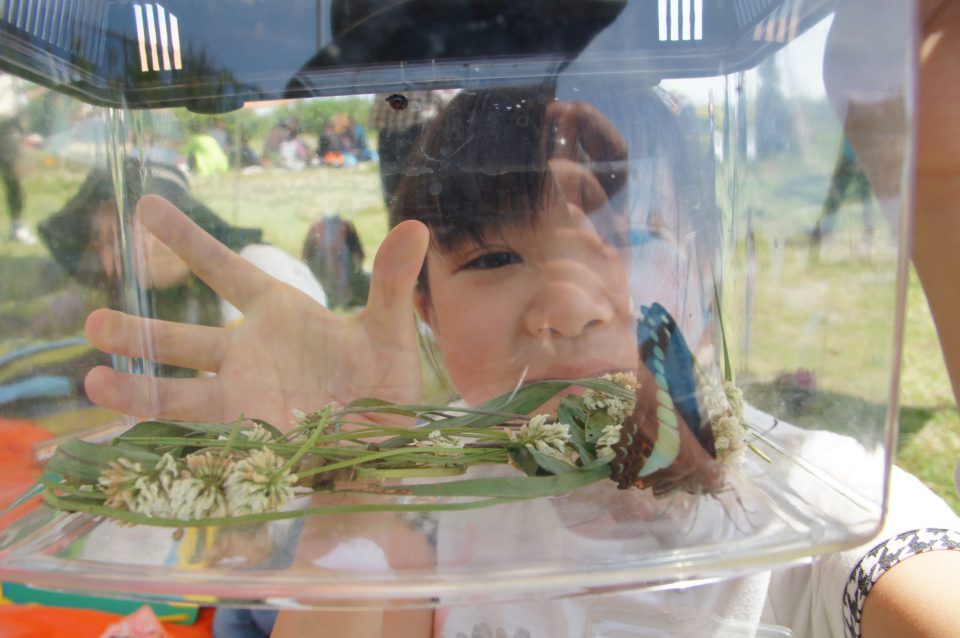 ワクわくドキどき昆虫採集